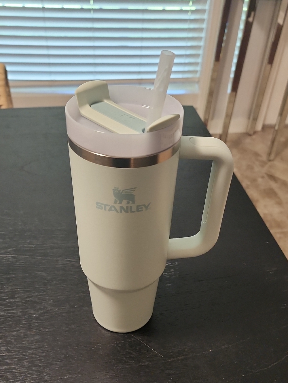 Stanley Mint Green Insulated Travel Tumbler with Handle and Straw Lid